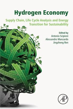 Cover Hydrogen Economy (eBook, ePUB)