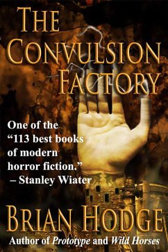 Cover The Convulsion Factory (eBook, ePUB)