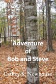 Adventure of Bob and Steve (eBook, ePUB)