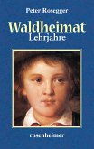 Waldheimat - Lehrjahre (eBook, ePUB)