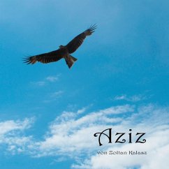 Aziz (eBook, ePUB) - Kalasz, Zoltan