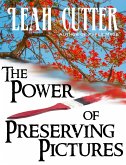 The Power of Preserving Pictures (eBook, ePUB)