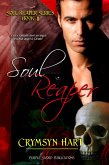 Soul Reaper Series Book II: Soul Reaper (eBook, ePUB)