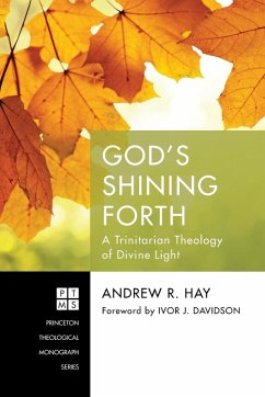 God's Shining Forth - Hay, Andrew R.