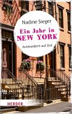Ein Jahr in New York (eBook, ePUB)