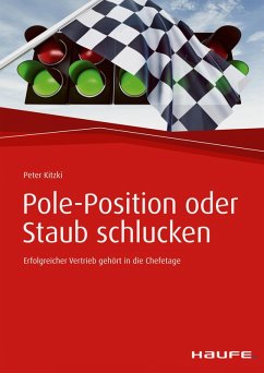 Pole-Position oder Staub schlucken (eBook, ePUB) - Kitzki, Peter