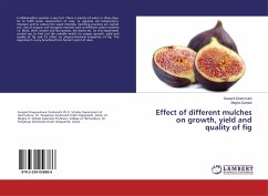 Effect of different mulches on growth, yield and quality of fig