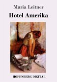 Hotel Amerika (eBook, ePUB)