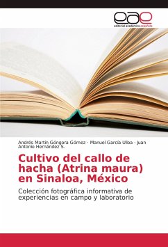 Cultivo del callo de hacha (Atrina maura) en Sinaloa, México - Góngora Gómez, Andrés Martín;García Ulloa, Manuel;Hernández S., Juan Antonio