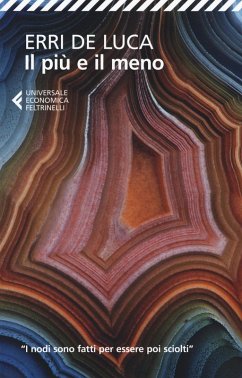 Cover Il più e il meno