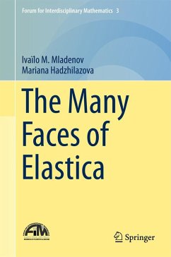 The Many Faces of Elastica - Mladenov, Ivaïlo M.;Hadzhilazova, Mariana