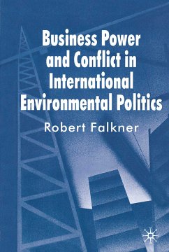 Business Power and Conflict in International Environmental Politics (eBook, PDF) - Falkner, R.