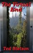 The Virtual End (Science Fiction, #4)... - Bild 1