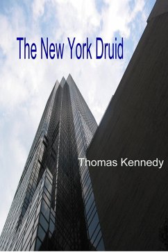 Cover The New York Druid (Irish/American fantasy, #3) (eBook, ePUB)