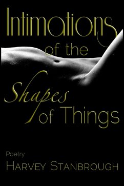 Intimations of the Shapes of Things (eBook, ePUB) - Stanbrough, Harvey