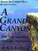 A Grand Canyon, One Man's Journey through Depression (eBook, ePUB)