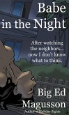 Babe in the Night (eBook, ePUB)