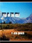 Fire in the Hole (eBook, ePUB)