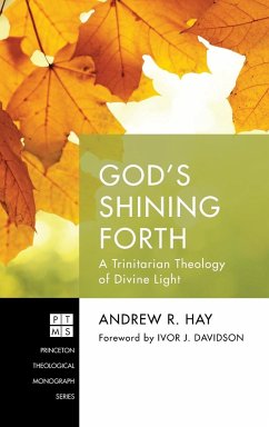God's Shining Forth - Hay, Andrew R.