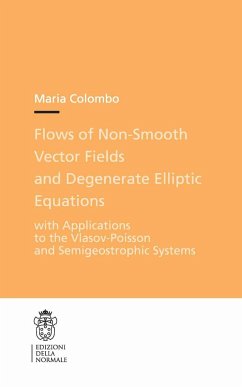 Flows of Non-Smooth Vector Fields and Degenerate Elliptic Equations - Colombo, Maria