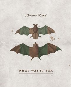 What Was It for - Raphel, Adrienne