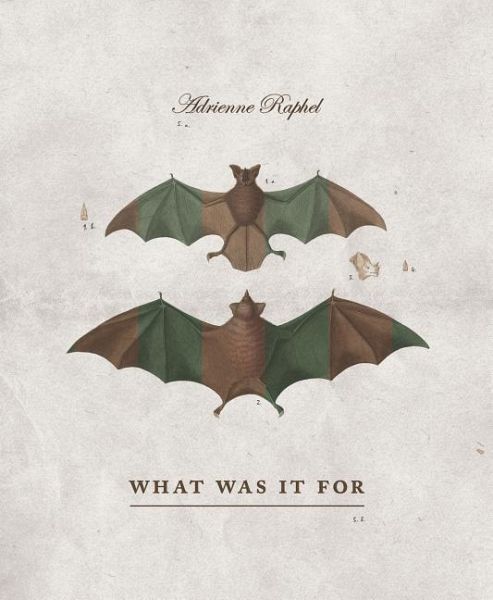 What Was It for What Was It for