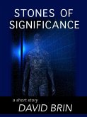 Stones of Significance (eBook, ePUB) Stones of Significance (eBook, ePUB)