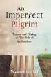 An Imperfect Pilgrim - Bild 1