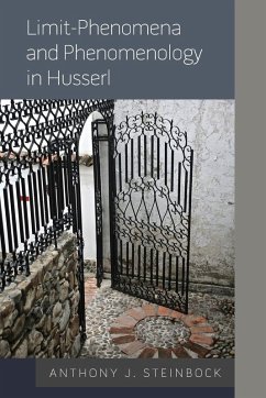 Limit-Phenomena and Phenomenology in Husserl - Steinbock, Anthony J.