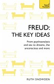 Freud - The Key Ideas: Teach Yourself