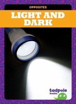 Light and Dark - Donner, Erica