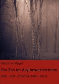 Ein Zivi im Asylbewerberheim (eBook, ePUB)