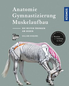 Anatomie, Gymnastizierung, Muskelaufbau (eBook, PDF) - Higgins, Gillian