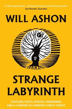 Cover Strange Labyrinth (eBook, ePUB)