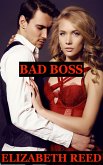 Bad Boss (eBook, ePUB) Bad Boss (eBook, ePUB)