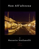 Non All'altezza (eBook, ePUB) Non All'altezza (eBook, ePUB)