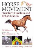 Horse Movement (eBook, ePUB)