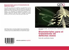 Biomateriales para el tratamiento de defectos óseos - Ñíguez Sevilla, Belén;Meseguer Olmo, Luis;de Aza Moya, Piedad Nieves