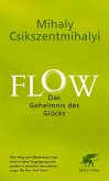 Flow. Das Geheimnis des Glücks (eBook, ePUB)