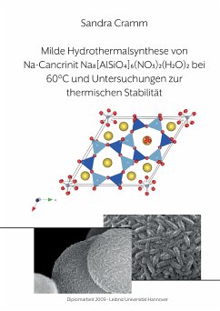 Milde Hydrothermalsynthese von Na-Cancrinit Na8[AlSiO4]6(NO3)2(H2O)4 bei 60 °C und Untersuchungen zur thermischen Stabilität (eBook, ePUB) - Cramm, Sandra