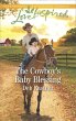 The Cowboy's Baby Blessing (eBook, ePUB) - Bild 1