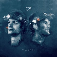 Mosaik - Camo & Krooked