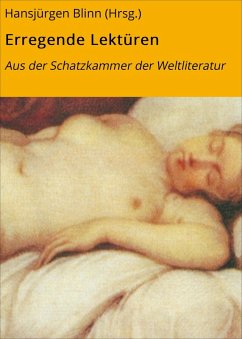 Cover Erregende Lektüren (eBook, ePUB)