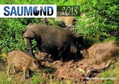 Saumond 2018