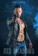 Red Shadows (eBook, ePUB) - Bild 1