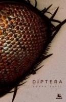 Diptera - Tayiz, Burak