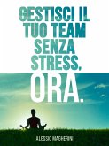 Gestisci il tuo Team senza Stress, Ora. (fixed-layout eBook, ePUB)