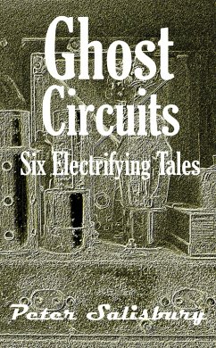 Ghost Circuits (eBook, ePUB) - Salisbury, Peter
