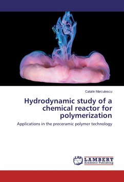 Hydrodynamic study of a chemical reactor for polymerization