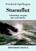 Sturmflut (eBook, ePUB)